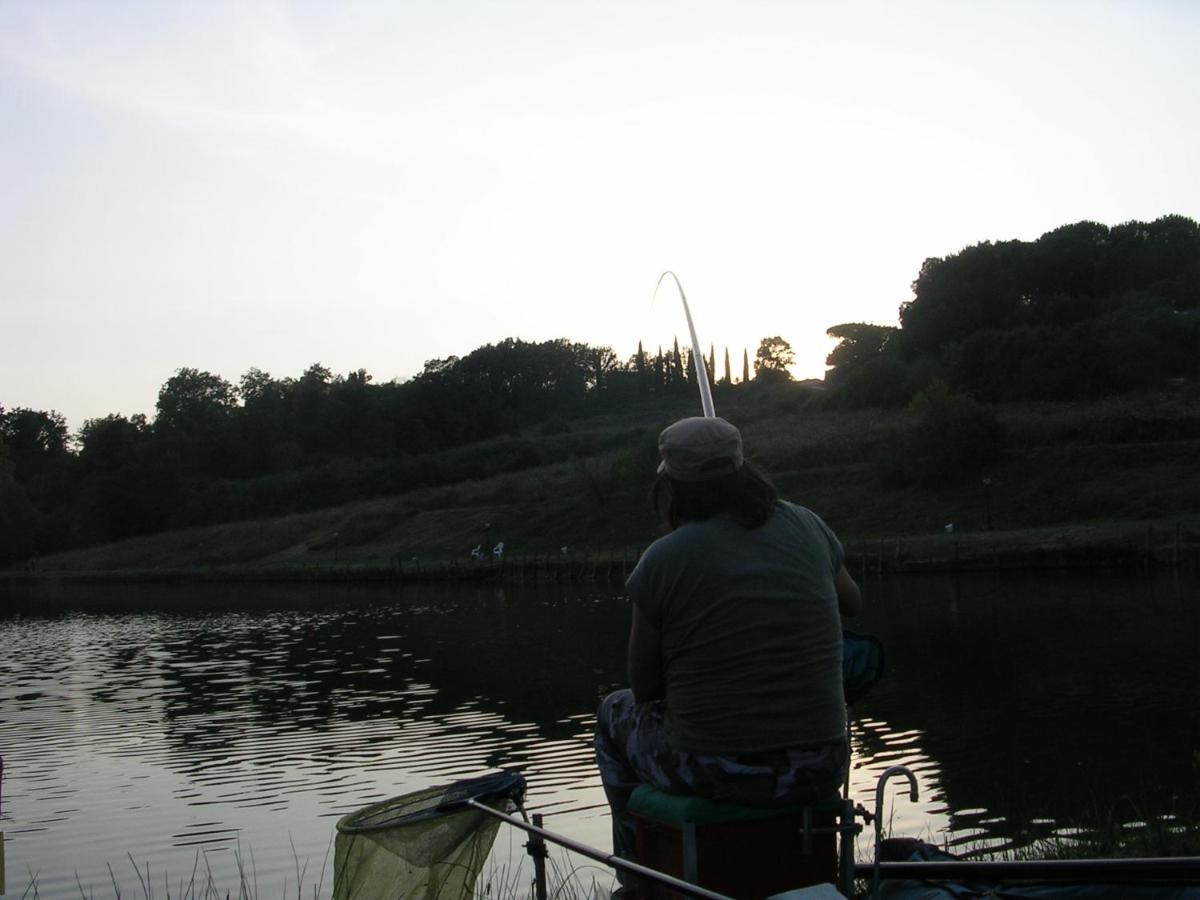 Da Simone Podere Santi Lucia E Pietro Sienne Extérieur photo